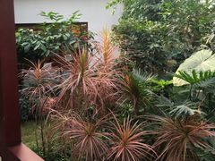 -汤山翠谷生态餐厅