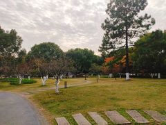 -范蠡湖公园