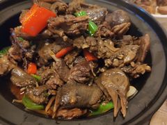 -龙小海荆沙鸽子店(瑞安街店)