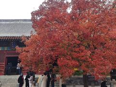 -香山公园