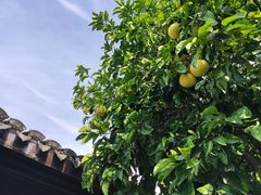 -王阳明故居