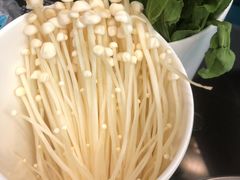 金针菇-川香煲(茅台路店)