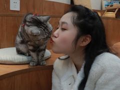 -有猫主题·治愈系猫咖(曾厝垵店)