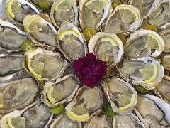 -酒井酱子·深夜食堂(东城汇店)