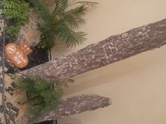 -小厨娘淮扬菜(六合欢乐港店)