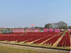 -盈香心动乐园