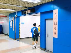 -大望路(地铁站)