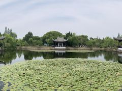 -无锡蠡湖国家湿地公园-蠡园