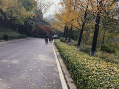 -重庆园博园