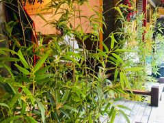 -三道苗苗鱼·美蛙黄辣丁(八里店)