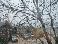 -了不起的考拉咖啡店(高新店)