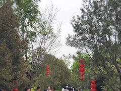 -大槐树寻根祭祖园