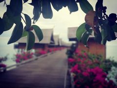 -卡帕莱度假村(西巴丹岛)