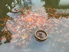 -Sasa的海(蜈支洲岛后海店)