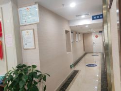 -碧莲盛·不剃发植发