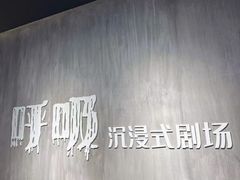 -呼吸沉浸式剧场(甘露园店)