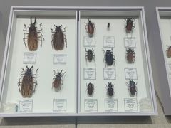 -烟台市博物馆