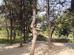 -元大都城垣遗址公园