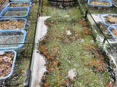 -同君福大酒楼(紫新路店)