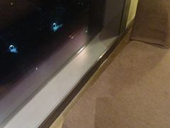 -天津东凯悦酒店