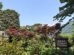 -山王坪喀斯特国家生态公园