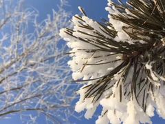 -长春公园(普阳街道)