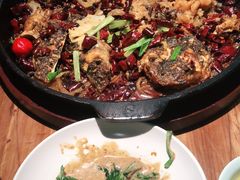 -老板恋上鱼(振华商厦店)