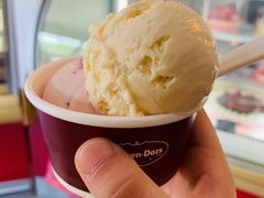 -哈根达斯(绍兴银泰店)