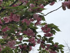 -龟山风景区-龟山电视塔