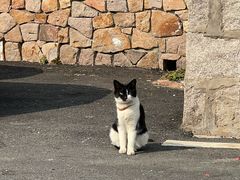 -瑜上·山食小馆