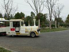 小火车-上海海湾国家森林公园