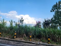 -罗田薄刀峰风景区
