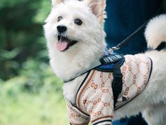 -青龙山国家森林公园
