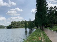 -南国桃园旅游度假区