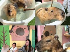 -盈香心动乐园