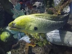 -多彩贵州城极地海洋世界