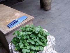 android_upload_pic-旅马餐厅(茅家埠店)