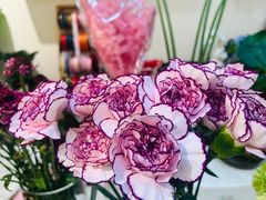 -花屿鲜花(淡水店)