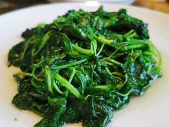 清炒米苋菜-枣子树·素食餐厅(普陀山店)