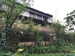 -田园东方蜜桃村的田野营地