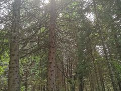 -新疆那拉提国家旅游度假区