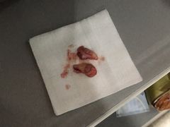 -暖阳宠物医院·犬猫康复中心·骨科