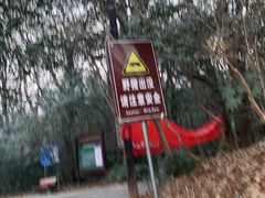 -紫金山山顶公园