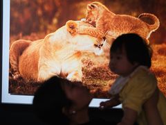 -罗红摄影艺术馆