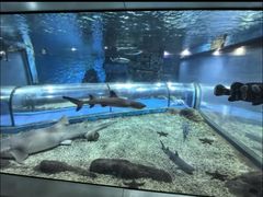 -福州罗源湾海洋世界旅游区