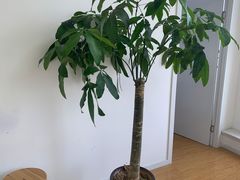 -闪电蜂手机快修连锁·上海永赋科技店