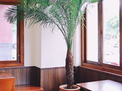 -椰椰大吉(海城店)