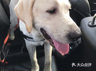 黄昏很美，三亚湾也很美 这个时候真的很惬意
