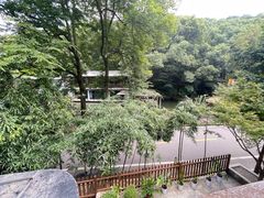 -天怡·鱼工厂(梅溪湖店)