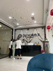 -DEM缔怡美科技美容